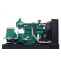 Googol AC Three Phase 50Hz Gas Generator 120kw 150kVA